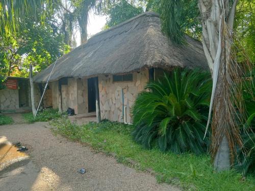Chibombo Chirundu - Zambezi River Campsite - Camp along the Zambezi River - Enjoy Game & Canoeing Safaris as  3-Star Single Room amenity