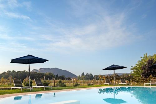 Agriturismo Corte Patrizia in 里沃利韋羅內塞