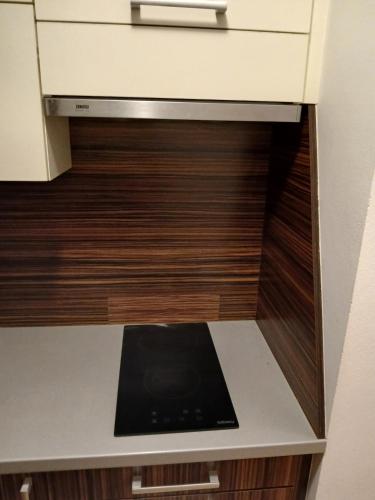 Apartman Nove Mesto na Morave in Nove Mesto Na Morave