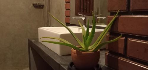 Guruwaththa Eco Villa 3 - image 3