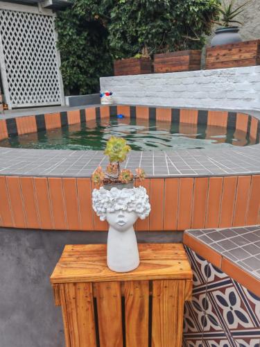 ogród, 36 Mount Road Guesthouse and Self Catering in Mount Croix