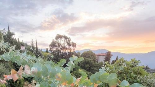 Manzara, VillaCarros - Studios en villa avec piscine, Côte d'Azur (VillaCarros - Studios en villa avec piscine, Cote d'Azur) in Carros