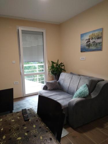 Apartman,,Petko,, in Bajina Basta