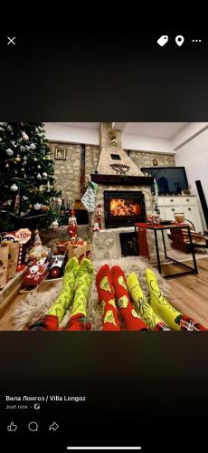 . Вила Лонгоз