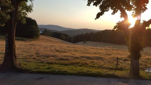 Hotel Pension Fernblick - image 8