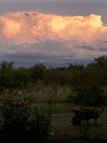Inambú (Inambu) in San Lorenco