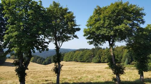 Hotel Pension Fernblick - image 13