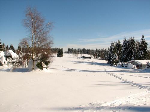 Hotel Pension Fernblick - image 12