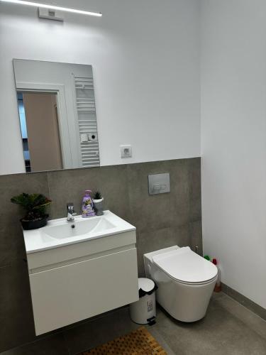 Suite family apartment silk – khách sạn tại Zona Industriala