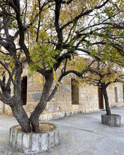 Garden, House of Rocks Guesthouse Lebanon in Dhour Choueir