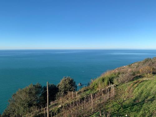 Alloggio la lampara in Campiglia