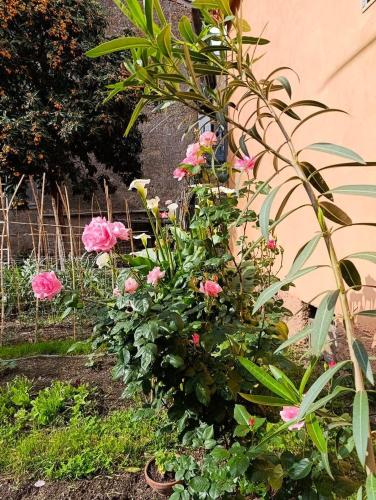 Il giardino di Borgo Nuovo gîte à louer Castel Sant'Elia