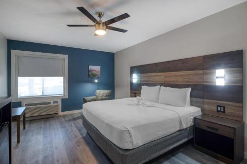 1 king bed