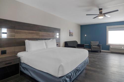 1 king bed