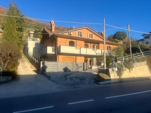 Camelia, Gubbio