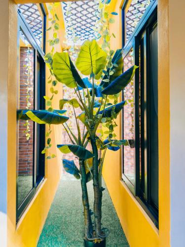 Hotel Villa Luna in San Juan La Laguna