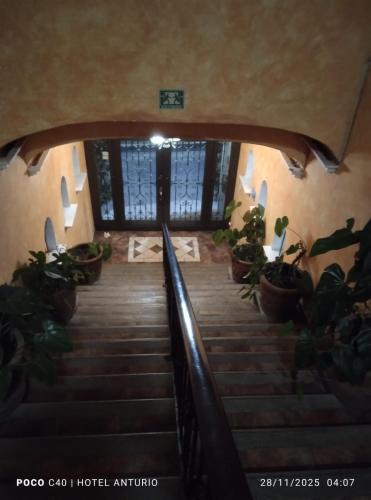 Anturio Express in Cuernavaca, Mexico