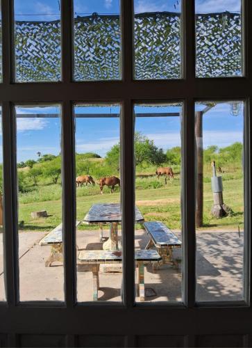Çevredekiler, La Buonaterra -Cabañas con playa privada sobre el Rio Uruguay (La Buonaterra -Cabanas con playa privada sobre el Rio Uruguay) in Fray Bentos
