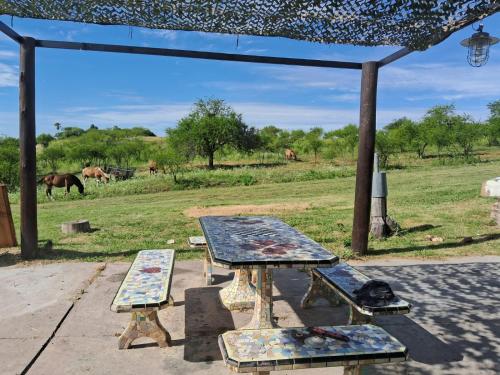 Çevredekiler, La Buonaterra -Cabañas con playa privada sobre el Rio Uruguay (La Buonaterra -Cabanas con playa privada sobre el Rio Uruguay) in Fray Bentos