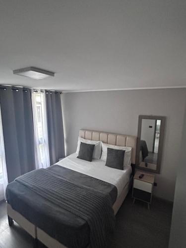 DEPARTAMENTO MODERNO Y COMODO CERCA A MOVISTAR ARENA Y FANTASILANDIA - Santiago