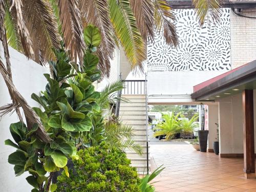 Garden, El Toro Motel in Warwick Farm