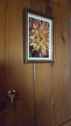 Bluebird Cottage Inn In Ca