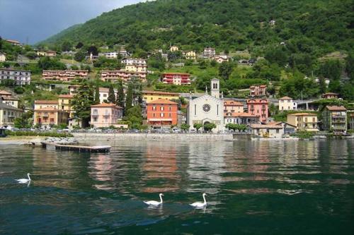 Argegno Bellavista - image 7