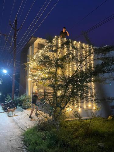 Ulala Hostels in ตรีรุวันมาลัย