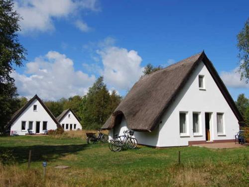 Viesnīcas āriene, Doppelhaushalfte in Vitte auf Hiddensee in Insel Hiddensee