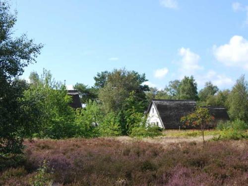 Viesnīcas āriene, Doppelhaushalfte in Vitte auf Hiddensee in Insel Hiddensee
