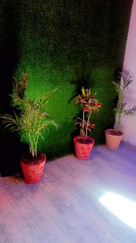 Omega guest houses photo 5