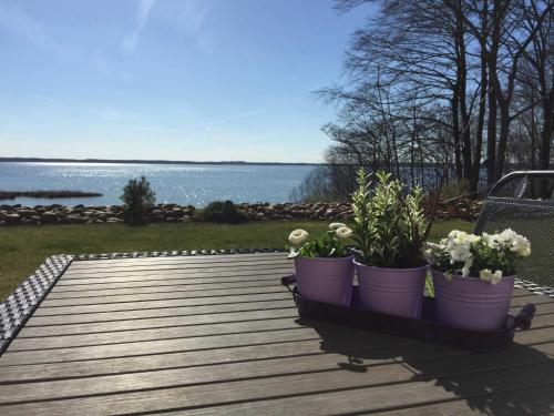 Ferienwohnung Seeblick