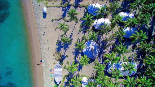 Coconut Garden Beach Resort