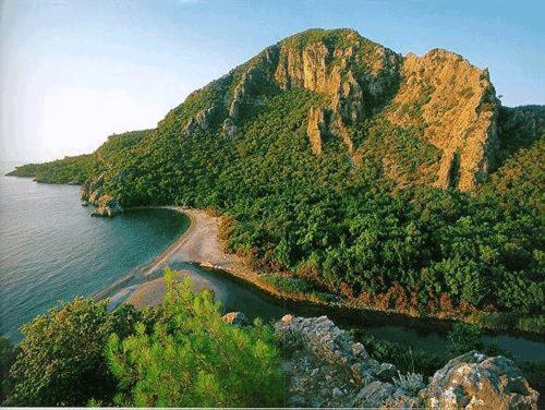 Anatolia Resort - image 12