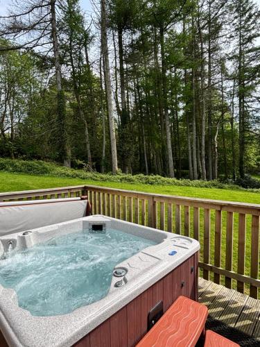 Lord Galloway 32 with Hot Tub, Newton Stewart (fotografie 9)
