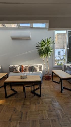 Pub/salon, Madina Hostel in Kairo