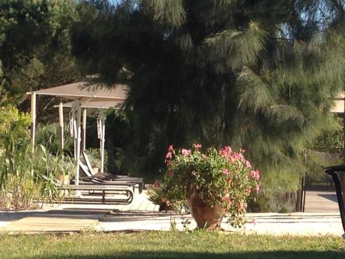 Campagne les Jumeaux – Ramatuelle, ID