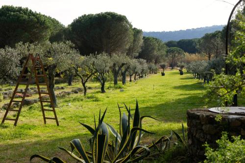 Campagne les Jumeaux – Ramatuelle, ID