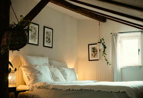 Casa Horea 54