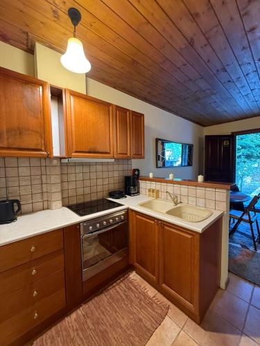 주방, Horizon Nest Parnassos Villa Chalet! in 에프탈로포스