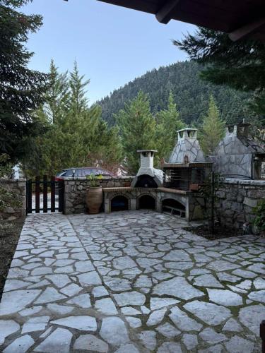 편의 시설/서비스, Horizon Nest Parnassos Villa Chalet! in 에프탈로포스