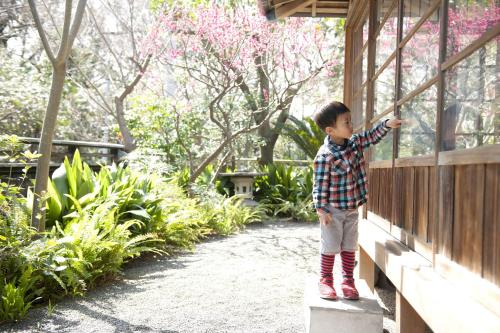 Nowhere but Hayama - 葉山 ノーウェア バット ハヤマ-