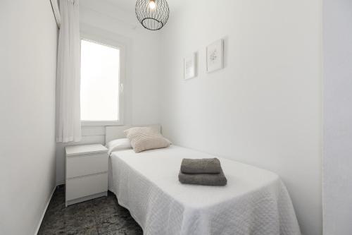 UHC Florida Apartments - image 4