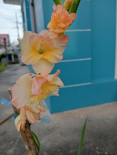 บ้านเพื่อนโฮมสเตย์, Ban Muang (1) (foto 7)