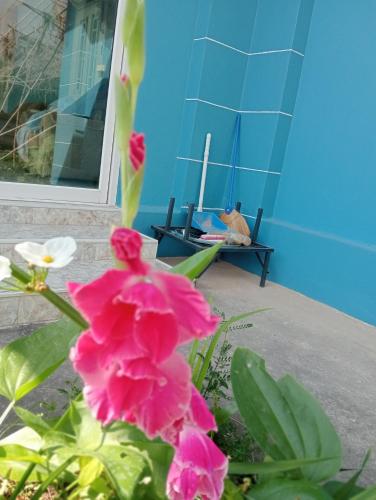 บ้านเพื่อนโฮมสเตย์, Ban Muang (1) (foto 5)