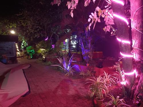 Greenland Cottage's Arambol in Arambol