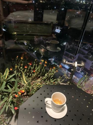 海阳 Apec Mandala Hotel Hai Duong 4星级 民宿 客房