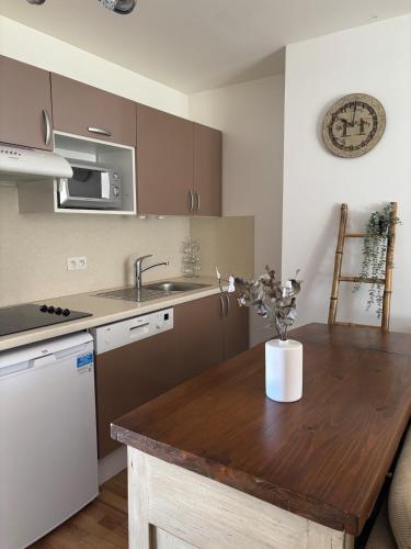 Appartement familial 4-6 pers - Vue sur les Pyrénées (Appartement familial 4-6 pers - Vue sur les Pyrenees) in Bourisp