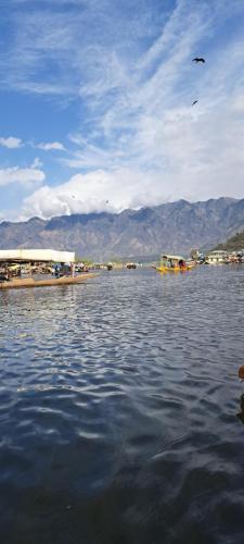 Dallake group of Houseboats - image 5