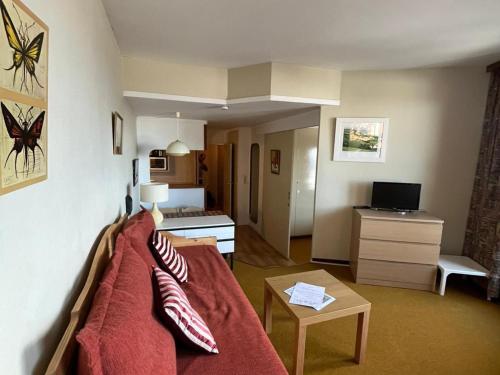 Avoriaz - Appartement 5 pers, TV, Wifi, casier à skis, spacieux - FR-1-633-23 - Location saisonnière - Morzine